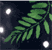 Leaf Spray