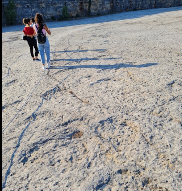 Google Maps