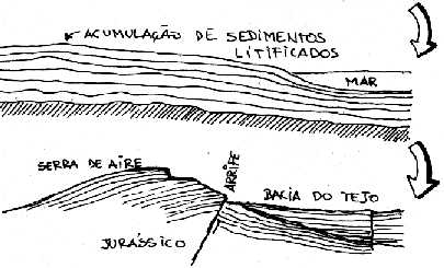 Sedimentos