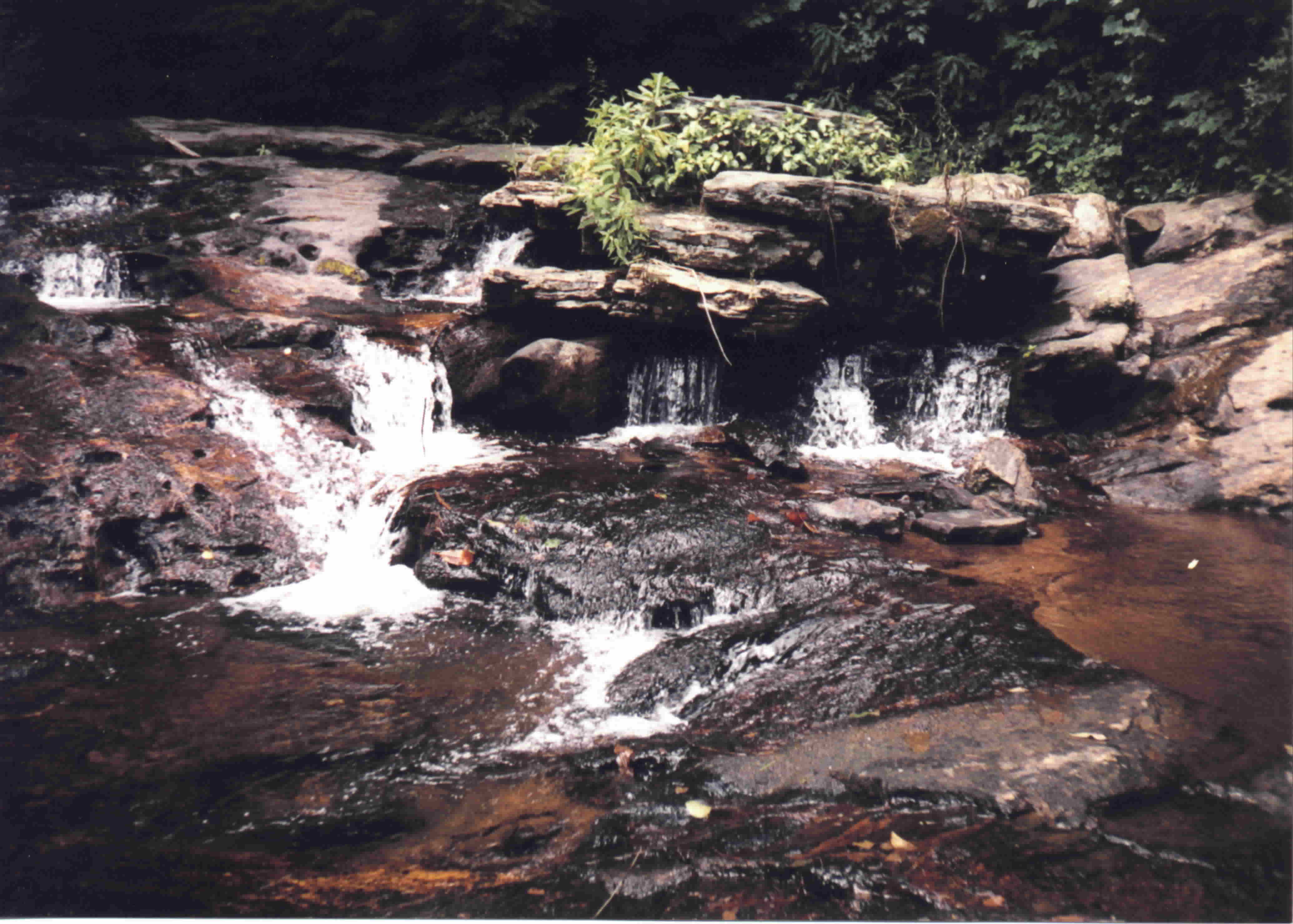 Click here to find out more about Helen, GA.