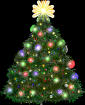 Christmast Tree