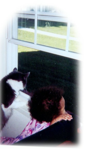 One of my favorite past times..looking out the window with kitty.