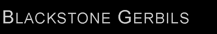 Text Box: Blackstone Gerbils