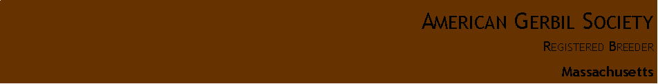 Text Box: American Gerbil Society 
Registered BreederMassachusetts