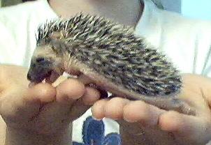 Kathryn when she was a baby