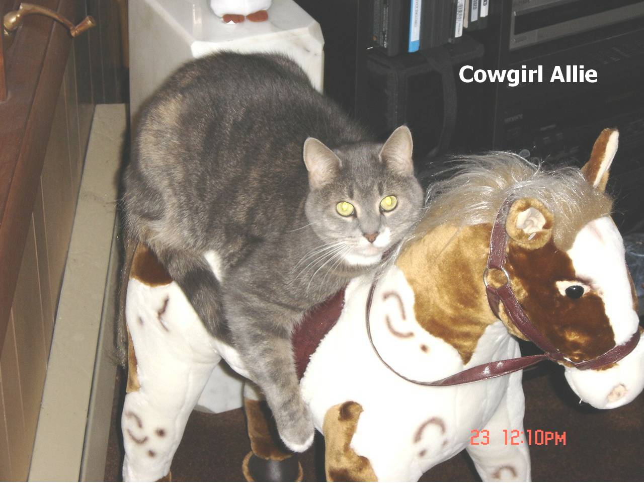 Good Ride Cowgirl