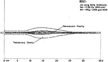 diagram of a 22 long rifle wound