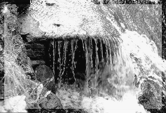 ~*DiUrEtiK*~