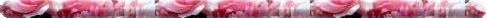 barra__11x.gif (9135 bytes)