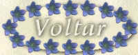 voltar.jpg (16608 bytes)