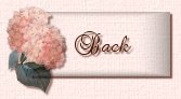 Go Back