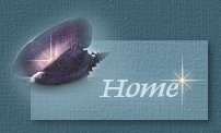 Welcome Page