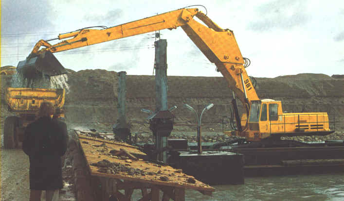 R 981
