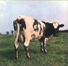 Atom Heart Mother