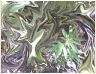Click here to 

view a full size image of my wonderful 

trippy weed background