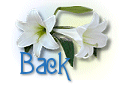 Back to Memoriam and Loss Poetry!