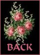 Back to Friendship Poetry!