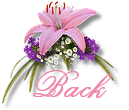 Back to Love and Romance Poetry!