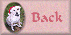 Back to Family Poetry!