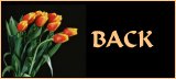 Back to Friendship Poetry!