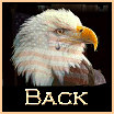 Back to Crime and Current Issues Poetry