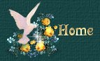 Back to my home page!