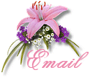 Send Me an Email!