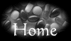 Back to my home page