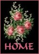 Back to my home page