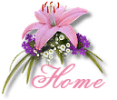 Back to my home page!