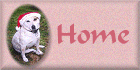 Back to my home page!