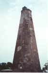 Oldbaldy2.jpg (42504 bytes)