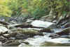 fallstream2-2000.jpg (155767 bytes)