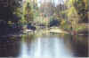 stream1.jpg (241711 bytes)