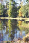 stream.jpg (278261 bytes)