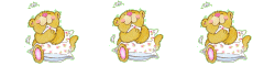 bear divider