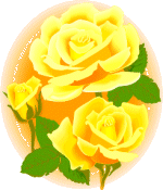 yellow rose
