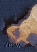 view book