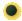 bullet