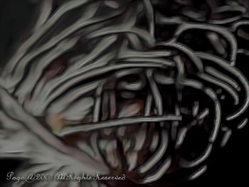 CRINOID