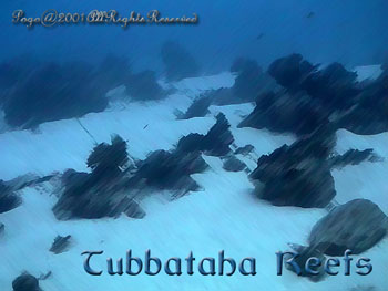 TUBBA.BOTTOM