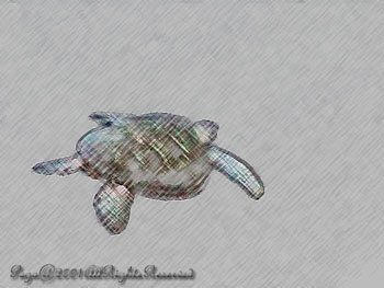 TURTLE.SWIM