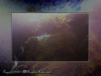 WRECK