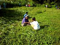 Coffee break on the weed whacking line.