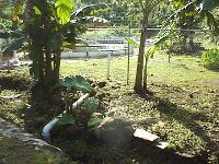 Aquaculture project