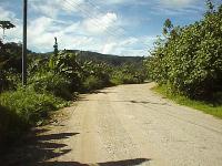 Coralline highway