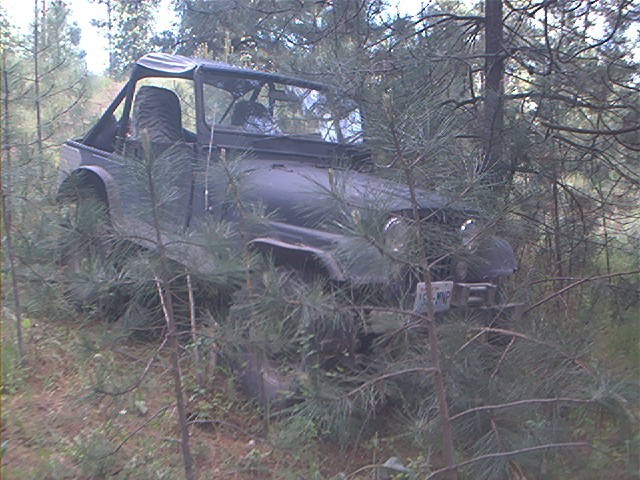 pic1