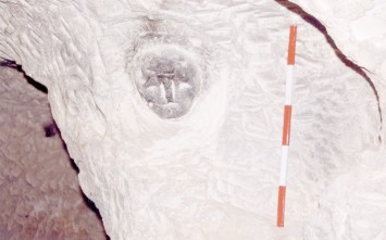 Photo 4: Carved face in relief. Although originally shown in the article by Pisani Bonavia, Virzì Hägglund fails to mention it in her report. It is not improbable that some cave spaces were not visited by the archaeologist, making it difficult to reconcile the cave spaces with those described in the report.