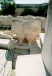 Statue at Tarxien