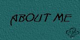 More than you'll ever want to know!